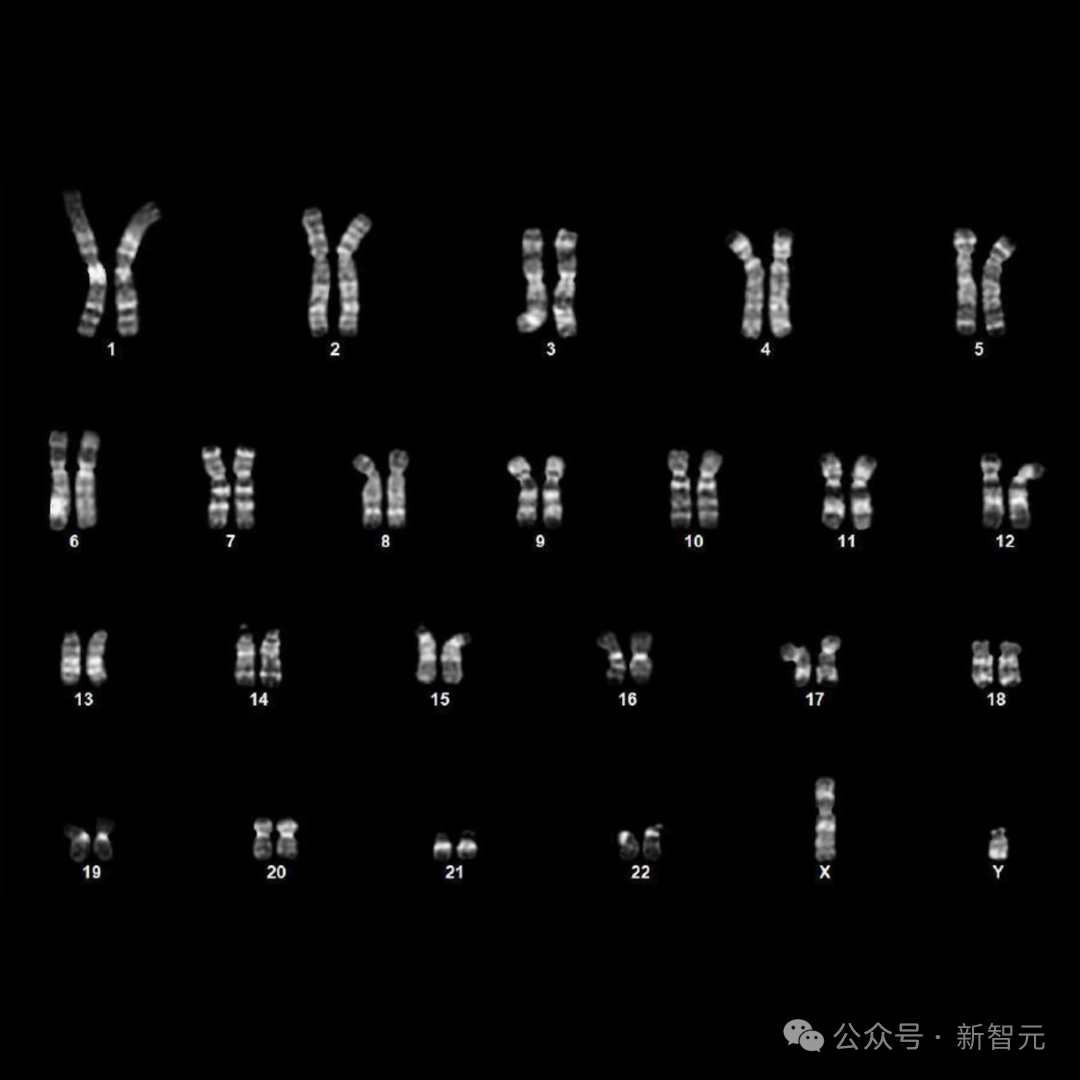 OpenAI用GPT-4b攻克诺奖难题！人体细胞「返老还童」，逆转效率飙升50倍