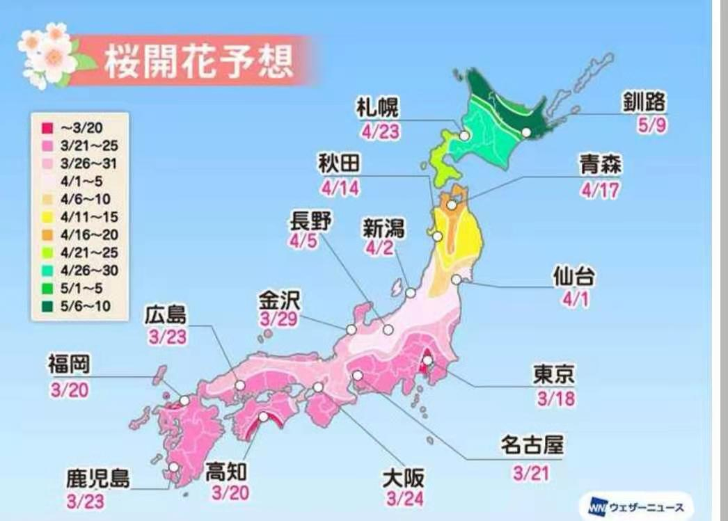 21年日本赏樱花最佳时间 知乎