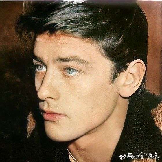 如何评价阿兰德龙的外貌?