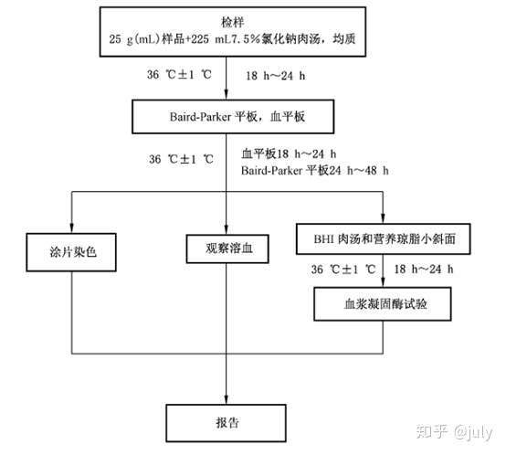 第一法金黄色葡萄球菌定性检验