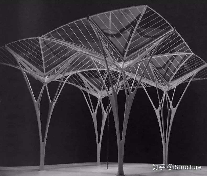 结构大师-Santiago Calatrava - 知乎