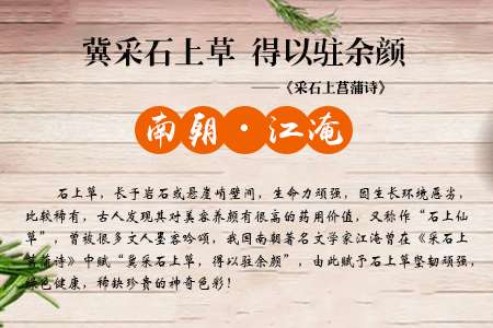 头发旋头发稀少看完你就明白了 知乎