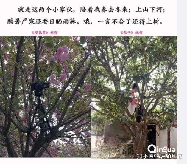 年做短视频如何赚钱 知乎