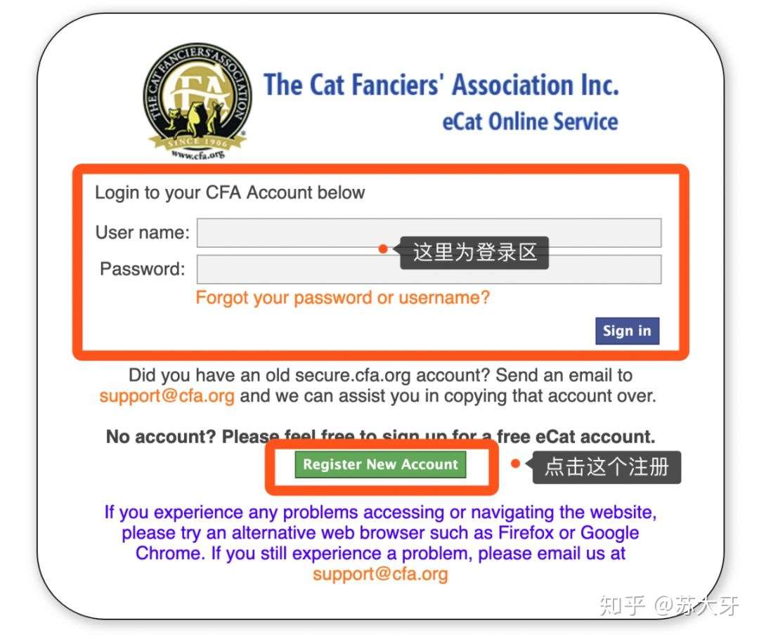 图解 Cfa 猫咪血统证书申请流程 知乎