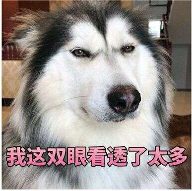 如何评价博主国民老岳父公