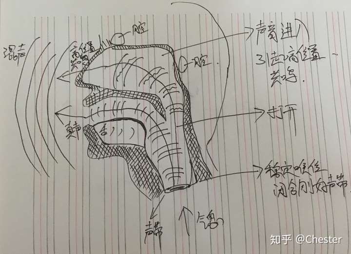 歌唱发声的原理是什么