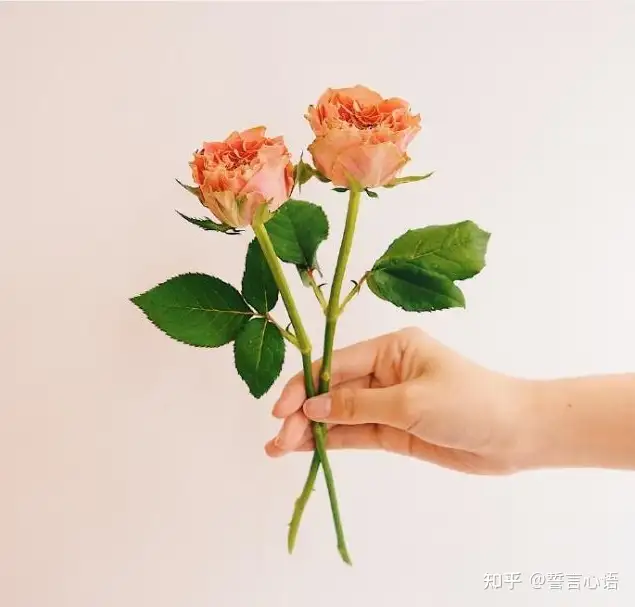 2021端午节祝福语，简短温馨，节日快乐！
