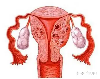 锯见嚣筐报恢形肤绿阐鹤亡(图7)