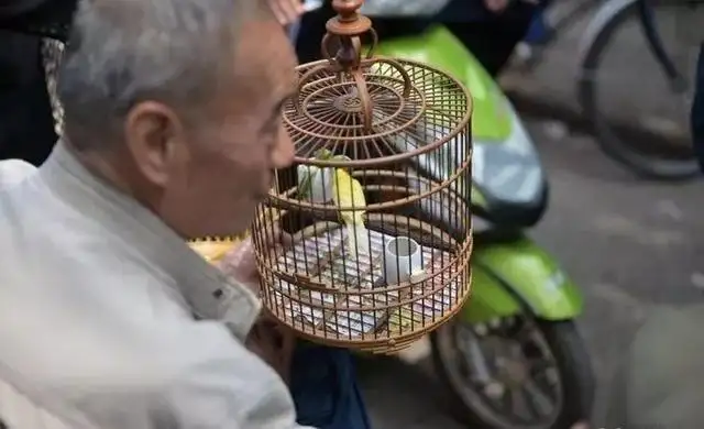 去西安，来一场穿越中国历史之旅……（去西安感受历史底蕴）插图7