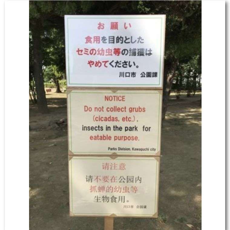 这劝哪国人呢 日本某公园贴告示 呼吁别为了吃抓蝉猴 知乎