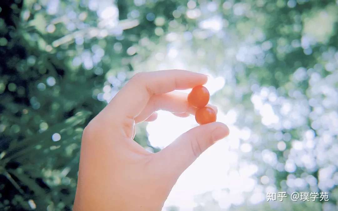 10月22日 10月28日生日书 星星王子陪你过生日 知乎