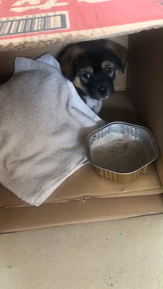 v2-046ebf2c9720821afdb6a37849384623_720w.jpg?source=1940ef5c