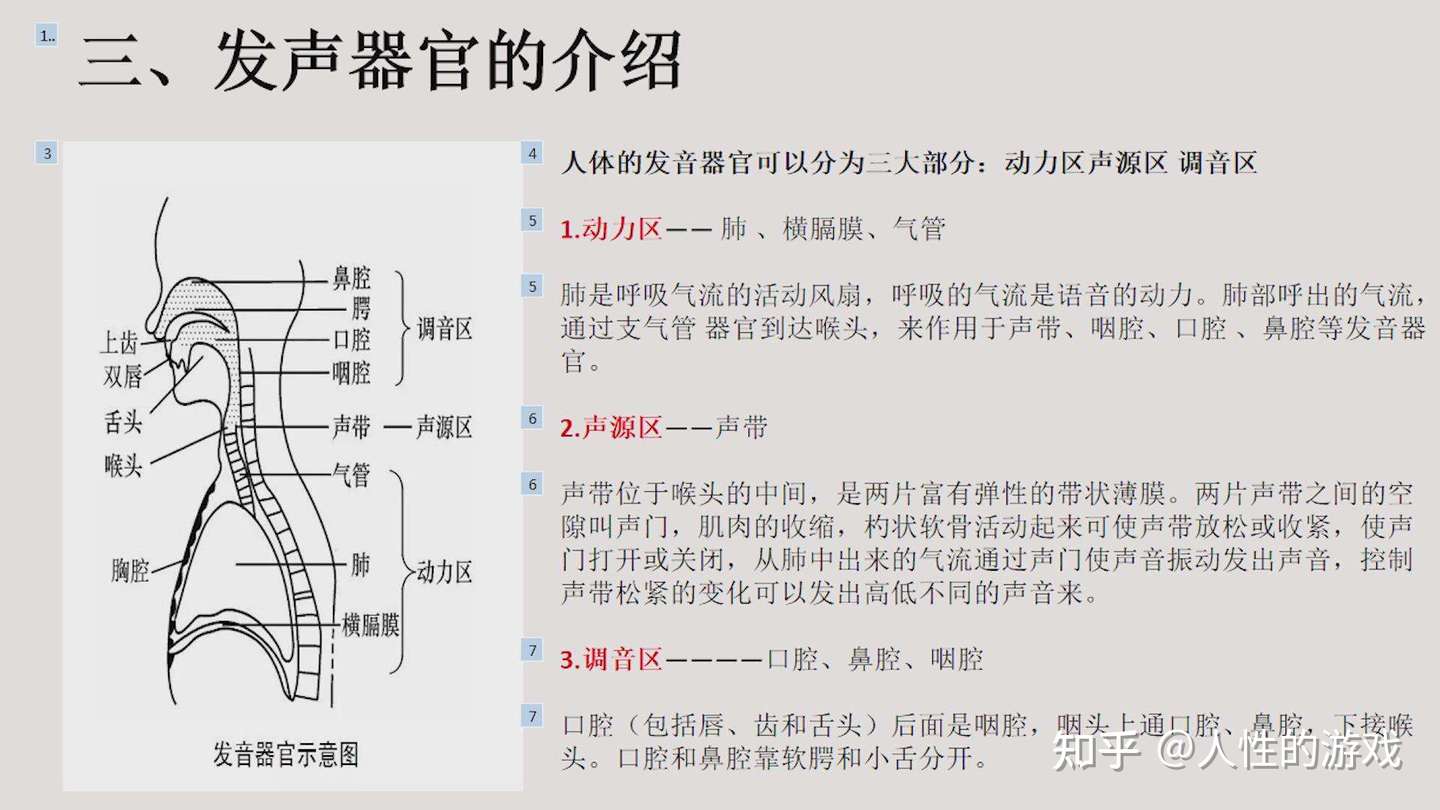 呼吸器官 顿 挫 顿挫 知乎