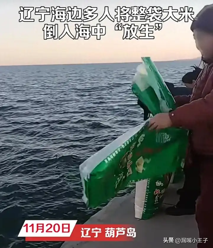 葫芦岛有多人往海里“放生”大米插图