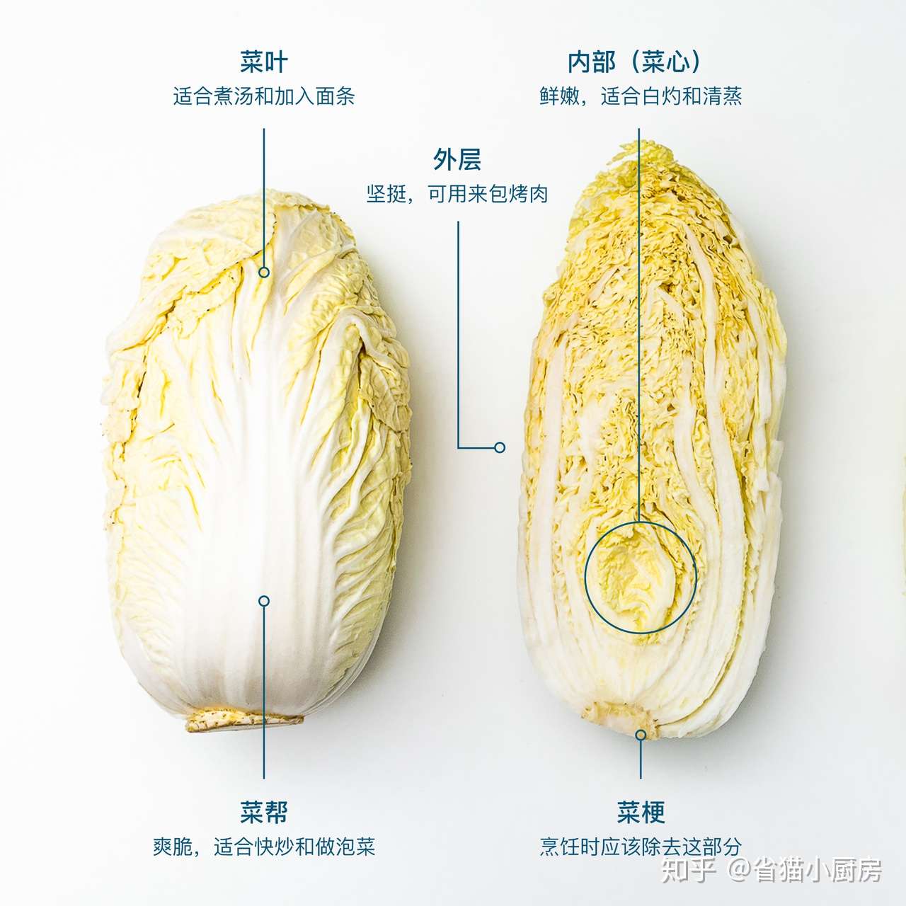 关于应季大白菜你应该知道的几件事 知乎