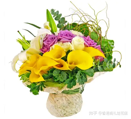 最全夏季花卉指南 知乎