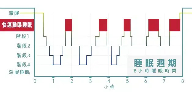 我们的睡眠,由浅到深分为 4个阶段.