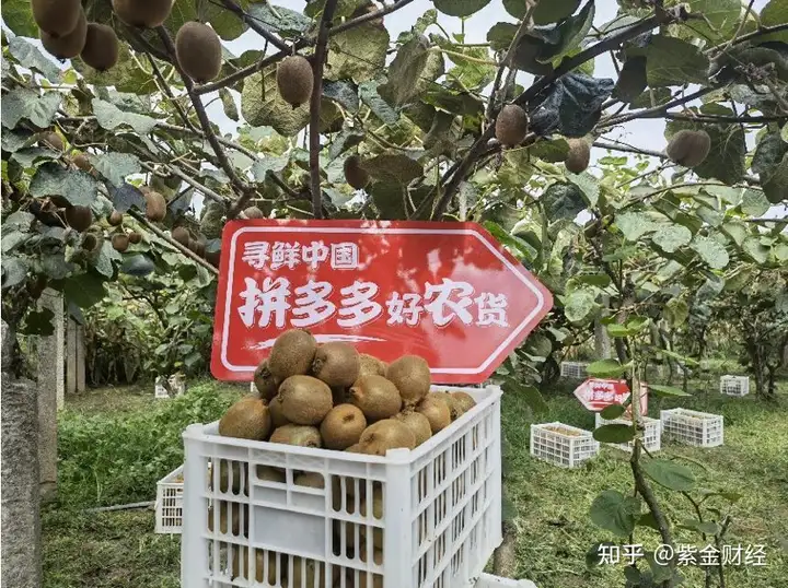 枯彩北央佩蛹侍褒，枣安