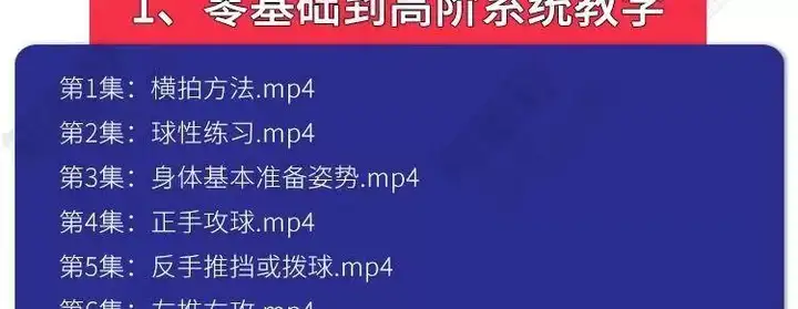 图片[17]-羽毛球篮球台球乒乓球全套高清视频教程-打羽毛球乒乓球篮球网球台球视频教程新手入门零基础动作训练课程【电商热销688】-暗冰资源网