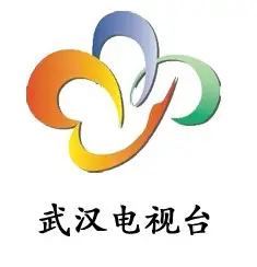 如何获取武汉电视台广告植入价格?
