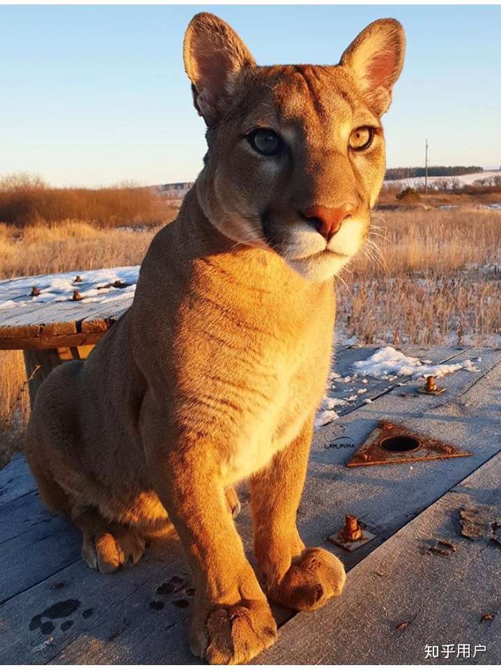 720_961竖版 竖屏