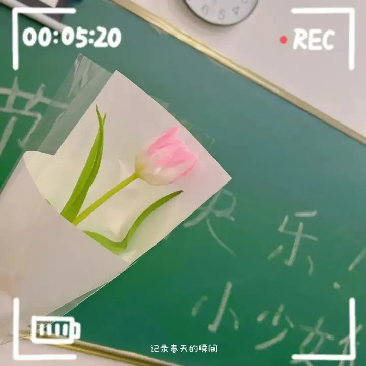青春印记 | 奋楫笃行 • 一路生花 ——21幼儿保育二班班级风采(图11) 青春印记 | 奋楫笃行 • 一路生花 ——21幼儿保育二班班级风采(图11)