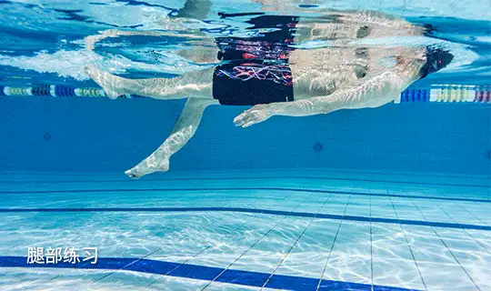 新手如何学仰泳,仰泳教学视频