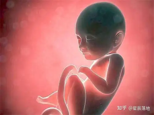 成都助孕中心排名（来来来，试管婴儿“真相”看这里！）