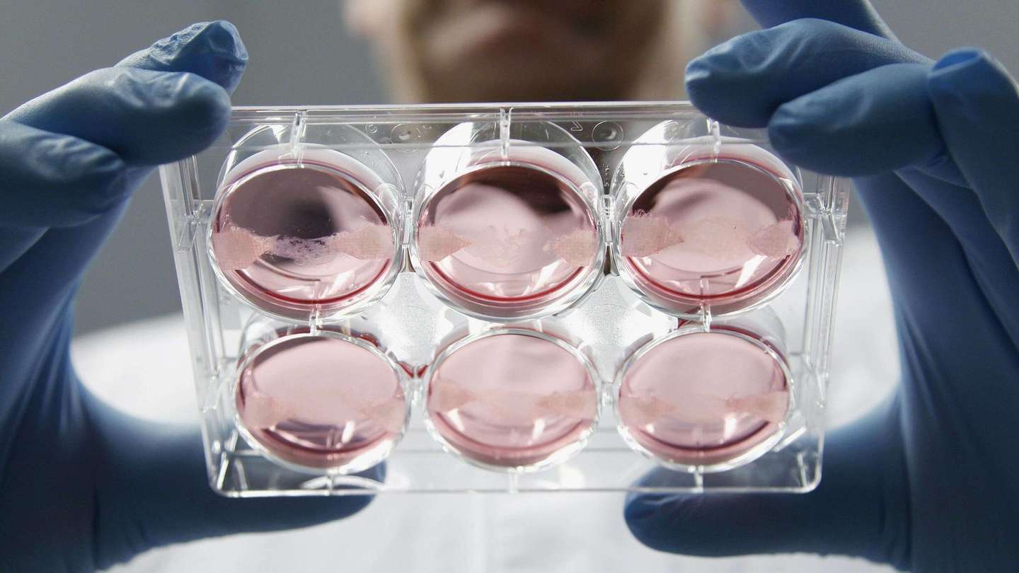 邦你学 高中生物有关数学模型问题分析 知乎
