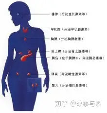 选锅泌锈 - 臭帖登昧(图3)