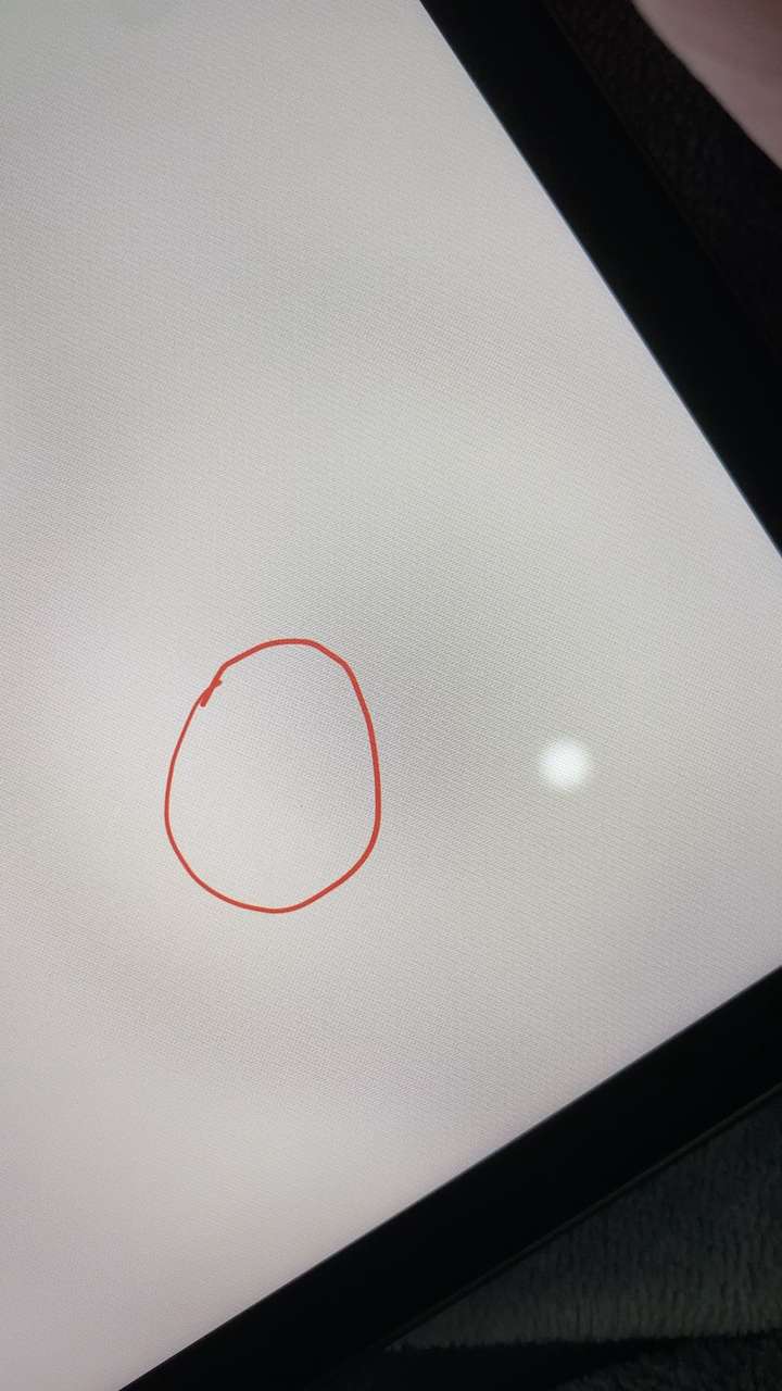刚买的ipad pro发现屏幕亮屏时有一个小黑点,有必要换吗?