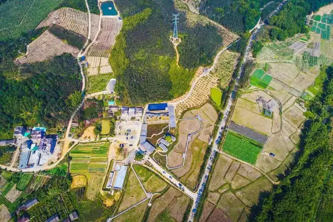 精品民宿丨禾肚里——蛙声稻香荷风星月 ，一间长在稻田里的民宿