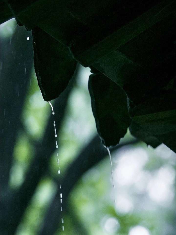 攏一手雨珠,珍藏在心間,歲月染霜,情懷不老;折一串水簾,掛在窗欞外