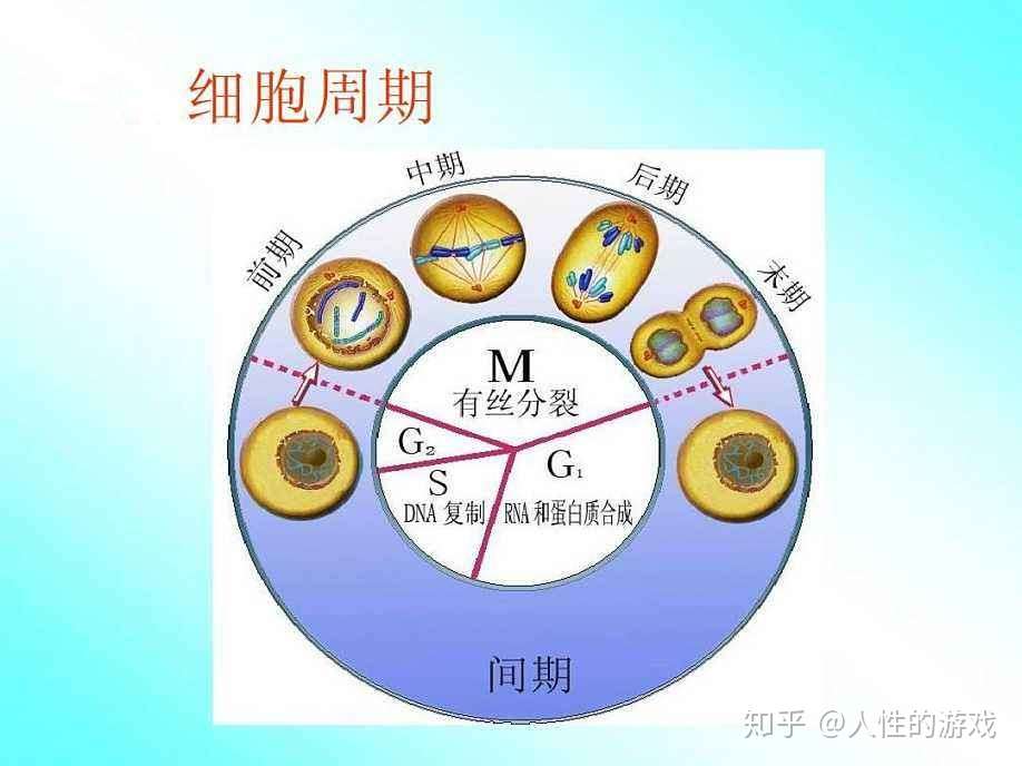 知乎专栏