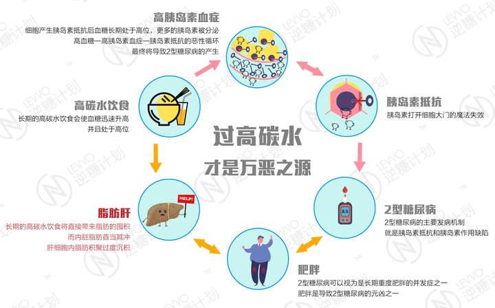 早期阶段脂肪肝是可逆的,但若不及时治疗,可能会发展成不可逆的终