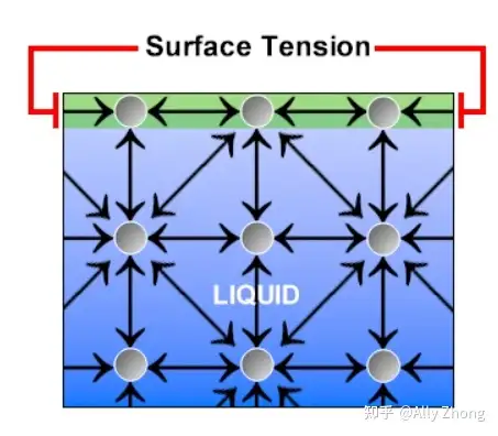 表面张力 知乎