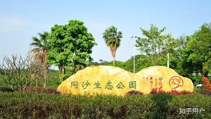 东莞有什么好玩的地方？