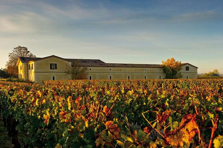 wine-world) 蒙宝石酒庄(chateau monbousquet)位于波尔多的圣埃美隆