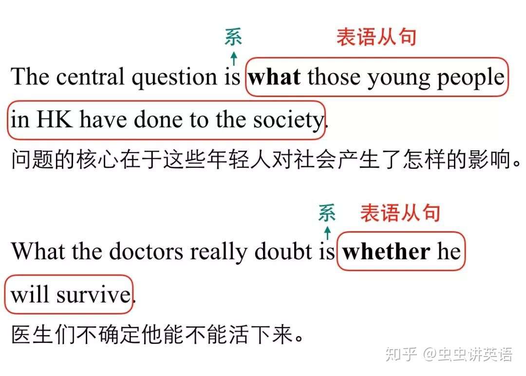 虫虫讲英语 永远跑在 系动词 后面的表语从句 其实只有3种类型 很好记 知乎