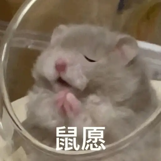 【书单】后劲贼大的双男主虐文合集，每本都很好哭！！