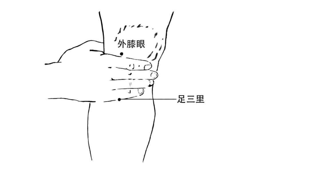 中医生蔡野平