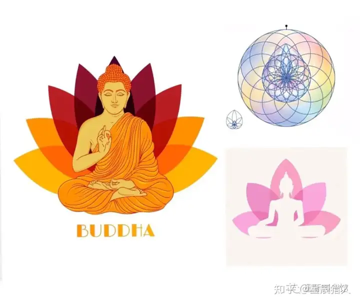 死亡之花和生命之花的区别(图49)