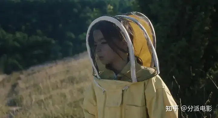 《两万种蜜蜂》柏林银熊奖,这部禁忌佳作绝对被低估了!