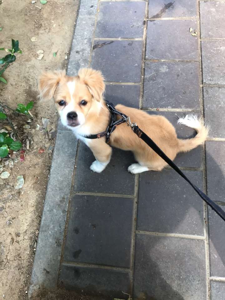 空调好凉 人家要盖被睡觉了啦 耳朵上是奇怪的卷毛.