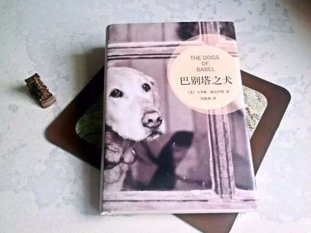 每个人心里都有一座巴别塔 白纸黑字 知乎