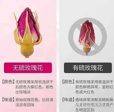 喝玫瑰花茶 这几个知识要知道 知乎