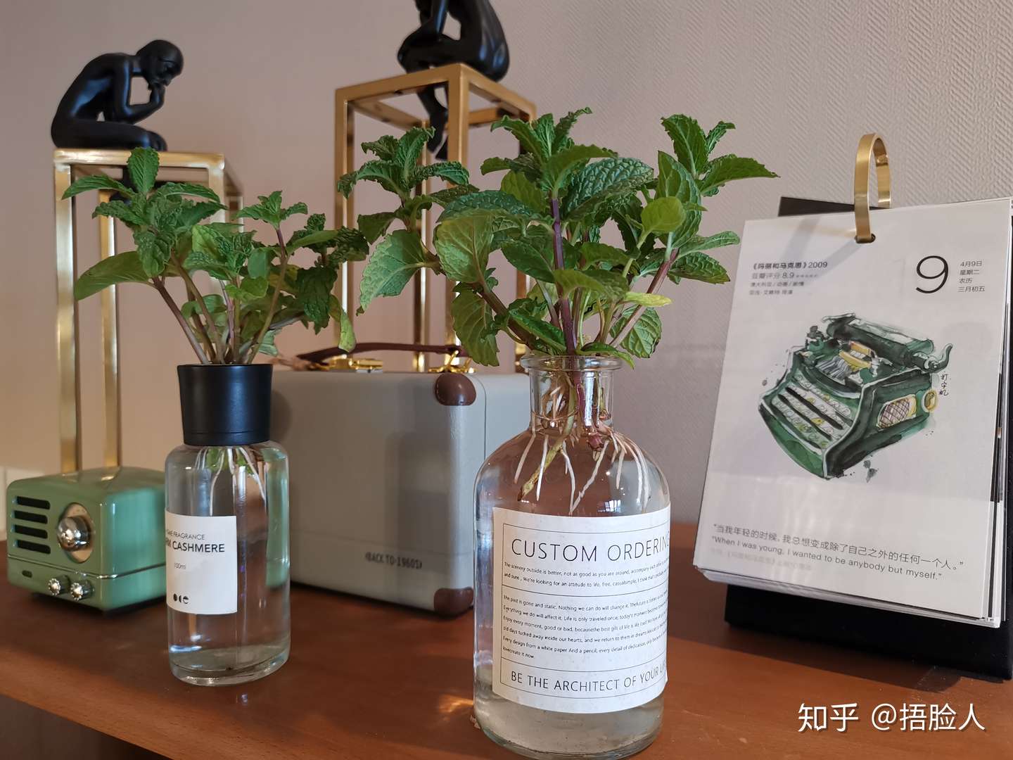 水培薄荷教程 2天出根 7天长满一整瓶 知乎