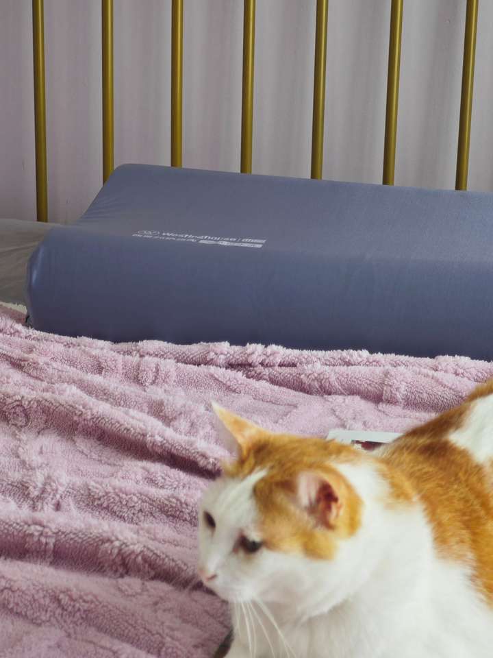 坦白局｜睡觉流口水 + 油皮猫，终于挖到能机洗的本命护颈枕！