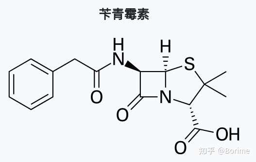 右邊一看就是青黴素的結構