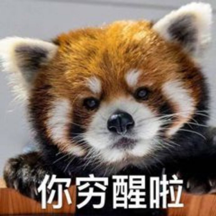 2020-2021年的网络沙雕文案句子搞笑:摩天轮就像个花圈插图55 2020-2021年的网络沙雕文案句子搞笑:摩天轮就像个花圈插图55